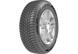 Зимняя шина Otani WE1000 205/60 R16 96H