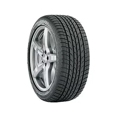 Летняя шина Fulda Carat Exelero 215/50 R17 99W