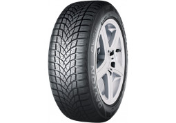 Зимняя шина Dayton DW 510 165/70 R13 79T