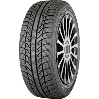 Зимняя шина GT Radial Champiro Winter Pro 205/55 R16 91H