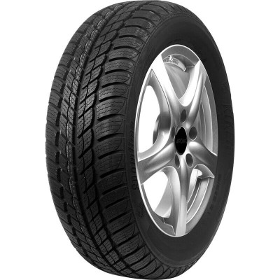 Riken Snowtime 205/55 R16 91T