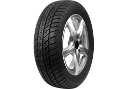Riken Snowtime 225/55 R16 95H