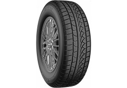 Зимняя шина Petlas Snowmaster W651 205/55 R16 91H