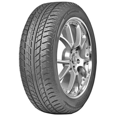 Зимняя шина Fortune FSR-9 195/65 R15 91H