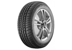 Fortune FSR-301 225/55 R17 101H