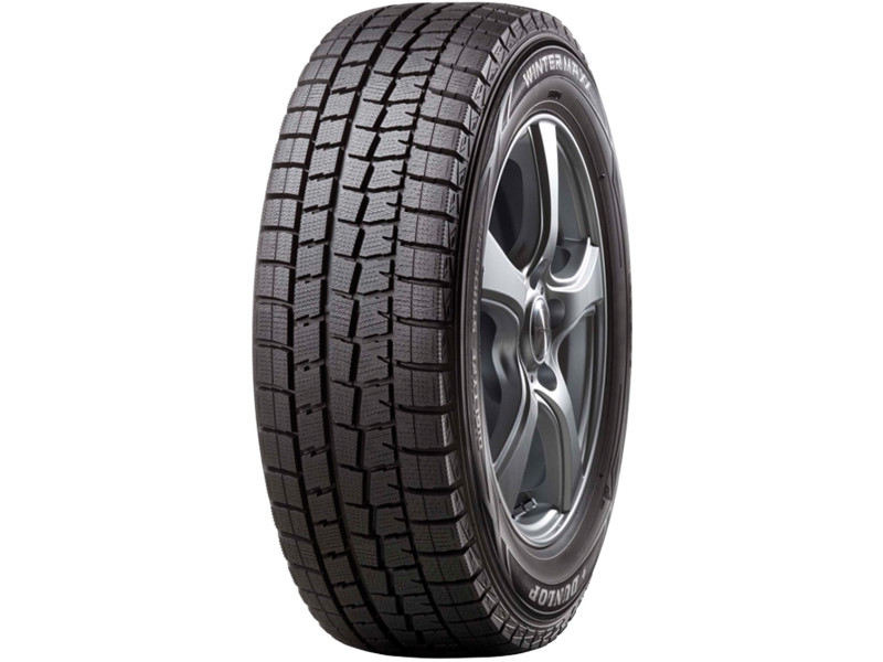 Зимняя шина Dunlop Winter Maxx WM01 245/45 R17 99T