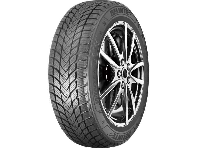 Зимняя шина Delinte Winter WD6 225/55 R16 99V