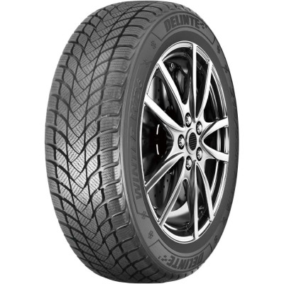 Delinte Winter WD6 225/55 R17 97H