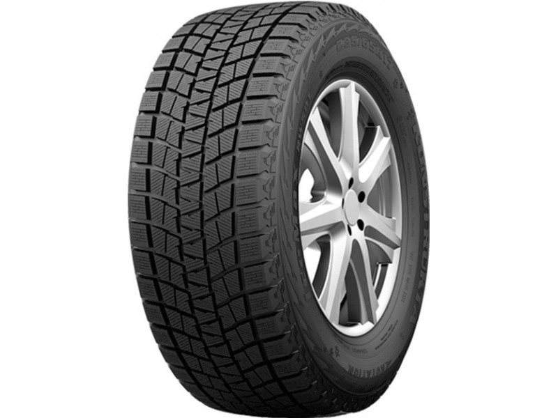 Зимняя шина Habilead RW501 IceMax 195/60 R15 88H