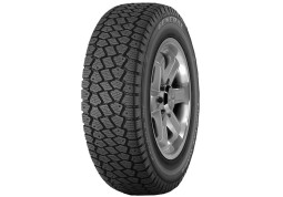 General Tire Eurovan Winter 205/65 R16C 107/105T