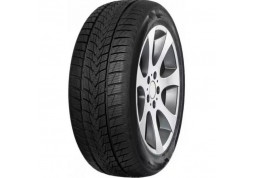 Зимняя шина Tristar Snowpower UHP 255/30 R19 91V