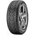 Зимняя шина Apollo Alnac Winter 225/55 R16 99H